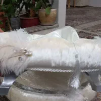 ست عقد / بله برون/ نو