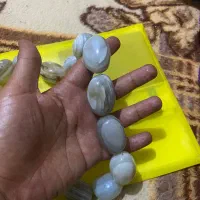 مهره اصل