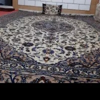 فرش دست بافت 12متری