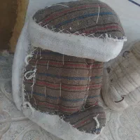 پالان الاغ