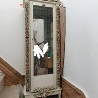 قفس|لوازم جانبی حیوانات|زاهدان, |دیوار