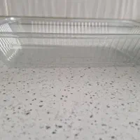 ظرف یک بار مصرف