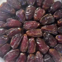 فروش انواع خرما از بوشهر