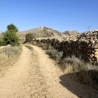 فروش باغ رزی  ۶۰۰متری بالای سعدی