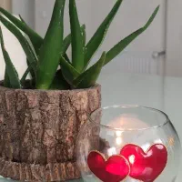 تنگ شیشه ای ویترای جاشمعی ویترای