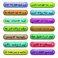 همکار خانم