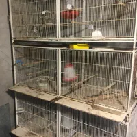 قفس پران ۳طبقه جنس قدیمی