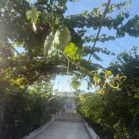 ویلا باغ یار منتظران (جاده ی اصلی) دزفول