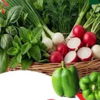 نیروی کار خانم