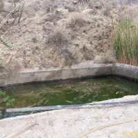 زمین کشاورزی جیرفت.3هکتار۱.۲میلیارد.فروش فوری.شکار