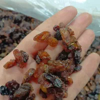 کشمش شیرین کاشمر پاک شده و قیمت خوب