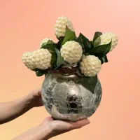 فروش خنچه سفره عقد