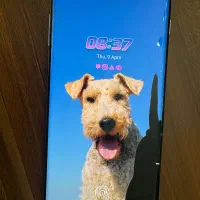 سامسونگ گلکسی s10پلاس