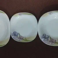 ظروف پذیرای