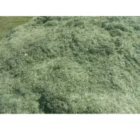 یونجه چین ۲