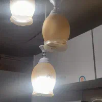 لوستر نو