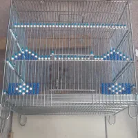 قفس سهره ۴مدل درجه یک