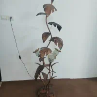 آباژور لاله ای