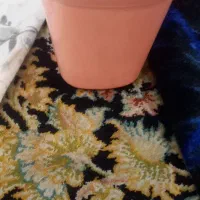 اشیا گم شده