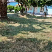 علف زنی|خدمات باغبانی و درختکاری|شفت, |دیوار