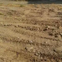 زمین مسکونی