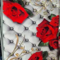 روبالشتی