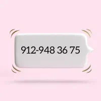 912.9483675