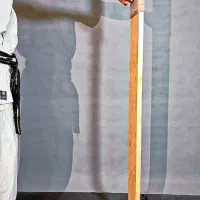 ماکی وارا مدل ایستاده