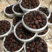 خرما صادراتی جنوب