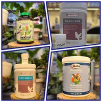 پتشاپ منقارخم ها(تجهیزات و ملزومات پرندگان زینتی)|لوازم جانبی حیوانات|قم, نخودی|دیوار