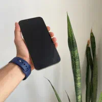 Iphone 13 pro max|موبایل|بندرعباس, |دیوار