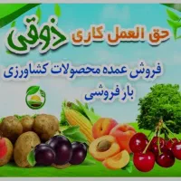 به یک نفر کارگر ساده جوان نیازمندیم