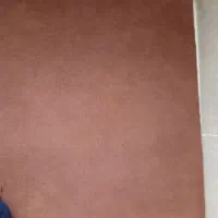 موکت