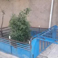 باربند سالم و محکم