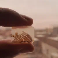 نگین عقیق شجر قائن درختی