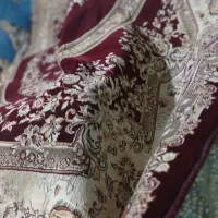 فرش ۶ متری تمیز