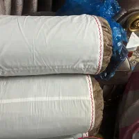 بالشت