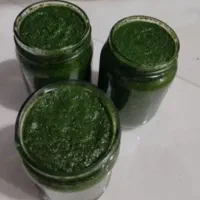محصولات شمالی