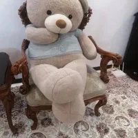 خرس شاسخین