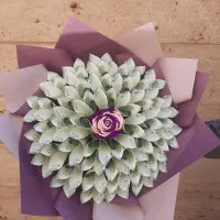 اسکناس ارایی