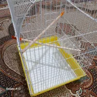 قفس|لوازم جانبی حیوانات|اردبیل, |دیوار