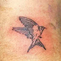 اجرای تتو بدن با بهترین متریال|خدمات آرایشگری و زیبایی|الیگودرز, |دیوار