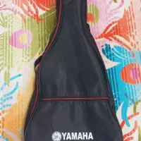 کیف گیتار