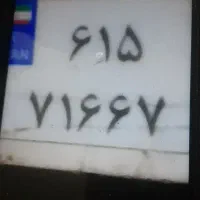 پلاک گم شده