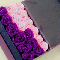 گل و باکس
