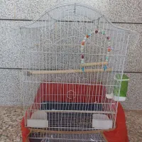 قفس پرنده