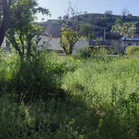 ۳۱۵ متر زمین سند۶دانگ کاربری باغ ویلا مهراباد