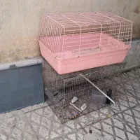 قفس پرنده و خرگوش
