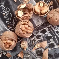 خشکبار|خوردنی و آشامیدنی|کرمانشاه, |دیوار