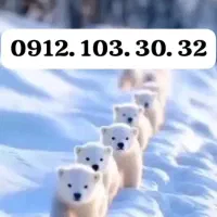32. 30. 103. 0912